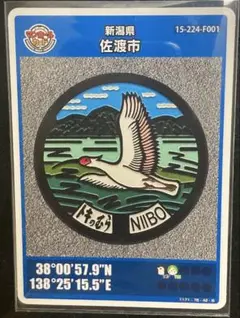 新品 新潟 佐渡 新穂 マンホールカード 第6弾 初版 トキ 朱鷺 離島 トレカ
