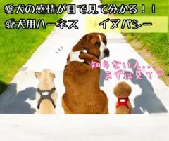 ⭐︎美品⭐︎INUPATHY イヌパシー　犬用感情デバイス　サイズ2 中型犬　大型犬 犬の気持ちが分かるウェアラブルデバイス「INUPATHY(イヌパシー