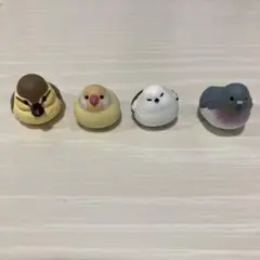 ガチャガチャ　ガシャポン　バード　ガチャ　鳥　小鳥　セット
