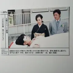 西田ひかる、細川茂樹、宮地真緒 番組宣伝用写真