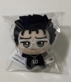 ブルーロック ちびぐるみ ぬいぐるみ 剣城斬鉄　新品タグ付き④