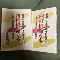 小山内彰 基礎から最高峰を目指す四柱推命の本 上下巻セット