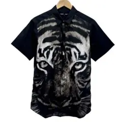 Item thumbnail for item 86d264ba-680f-4580-a24d-82b194c2ab67