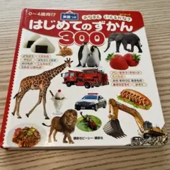はじめてのずかん300