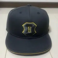 Item thumbnail for item a47c177a-52e2-4a75-905e-36254f285a75