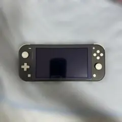 Nintendo Switch Lite グレー 本体