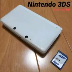 ãã³ãã³ããŒ3DSãNintendo