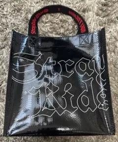 StrayKids dominATE 2024 アップグレード特典 未開封