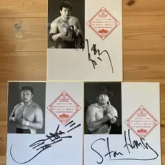 全日本プロレス　三沢光晴選手、川田利明選手、スタン・ハンセン選手　サイン色紙