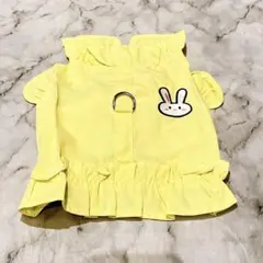 Item thumbnail for item e7bb12c3-2af9-4d79-8999-affbd0f2ba4a