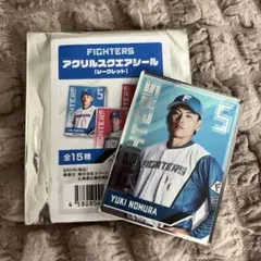 ファイターズアクリルスクエアシール野村佑希