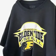 ギルダン ゴールデンTIDE ベースボール Tシャツ L ブラック 黒 古着