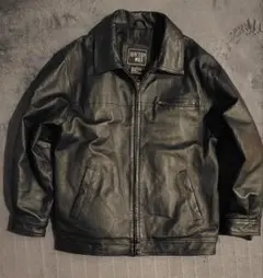 Item thumbnail for item c0fe5996-2b94-4356-a8b3-72b8034db45c