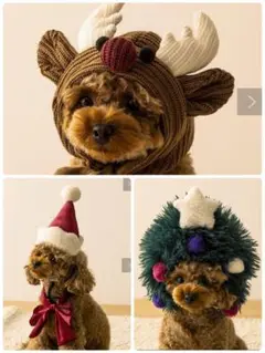 Item thumbnail for item c18c816c-a4b1-49e9-8e09-e2fa3465f63a