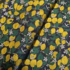 レモン　生地　厚手　レトロ　ジャガード　ネイビー　イエロー　50×145cm