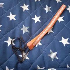 Item thumbnail for item e148538b-9a25-471a-9aea-a6db01d7a0dc