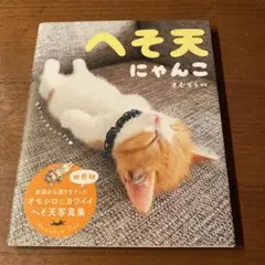へそ天にゃんこ 見るだけで幸せににゃる