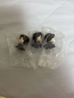 名探偵コナン　ちぢませ隊10　毛利小五郎　ガチャ