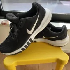 Item thumbnail for item 157c21d5-0052-4b73-aeab-cb80406fbf38