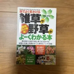 街でよく見かける雑草や野草がよーくわかる本 : handy & color i…