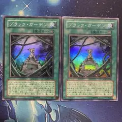 ブラックガーデン スーパー 訳あり
