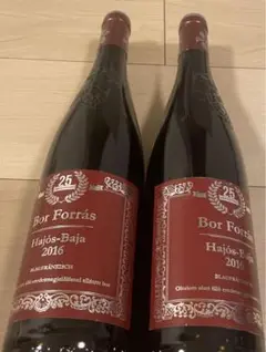 Bor Forras 赤ワイン　2016 ボールフォーラス ボール・フォーラス (2023) | ピーロート・ジャパン ハイエンド