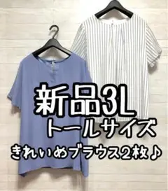 新品☆3Lトールサイズ♪きれいめ半袖ブラウス2枚♪お仕事おでかけ☆G864