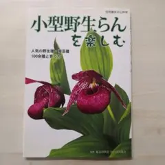 小型野生らんを楽しむ 人気の野生種・園芸種100余種と育て方