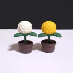 デコレ　コンコンブル　大輪の菊セット