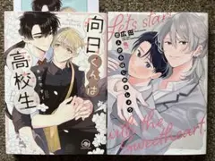 向日くんは高校生 + 恋人からはじめましょう　BL2冊