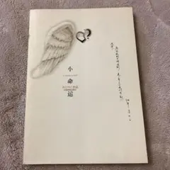「小命运」小说 中文书 中国語(簡体字)