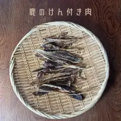 Item thumbnail for item ed7e389a-6f09-4d16-bb82-a1ce9e4a3470