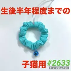 #2633 子猫用シュシュ首輪