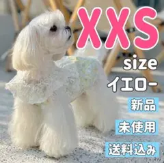 Item thumbnail for item fba634cc-353d-4c8c-9b4d-b503045550e2