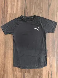 プーマ Tシャツ