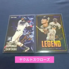 プロ野球チップス2025 第1弾　ヤクルトスワローズ　箔押しサインカード