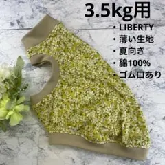 Item thumbnail for item 87070a72-845c-473e-8f18-edc93f981028