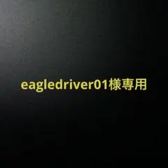 eagledriver01様専用