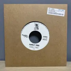 Family Tree / Evil Vibrations 7インチレコード