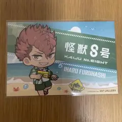 怪獣8号　古橋伊春　ポストカード　コラボカフェ　夏の怪獣討伐大作戦