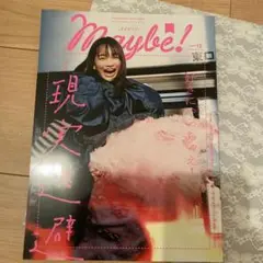 Maybe! vol.12