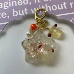 17 レジン　シャカシャカキーホルダー　シェイカー 夢かわ　犬　星　男の子