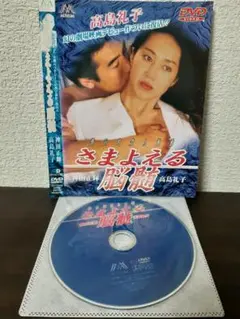 さまよえる脳髄　DVD