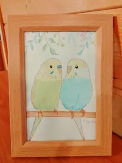 水彩画　なかよしセキセイインコ　原画　木製フレーム