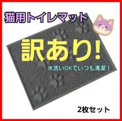 Item thumbnail for item 51c802c2-b7d3-4f07-ab5d-13932088b43b