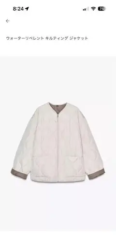 Item thumbnail for item 0e78873d-1bd0-4720-adbf-b836f4cfcd6b