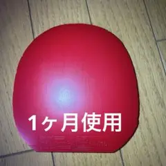 卓球ラバー ファスタークg1 MAX