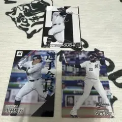 カルビー プロ野球チップス 2024 千葉ロッテマリーンズ
