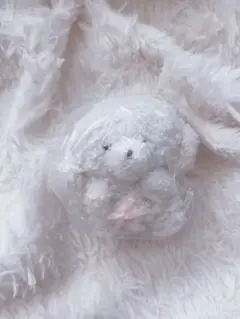 じょせまる　ガチャガチャ