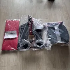 新品未使用　エクササイズマシン　専用ハンドル、マット付き